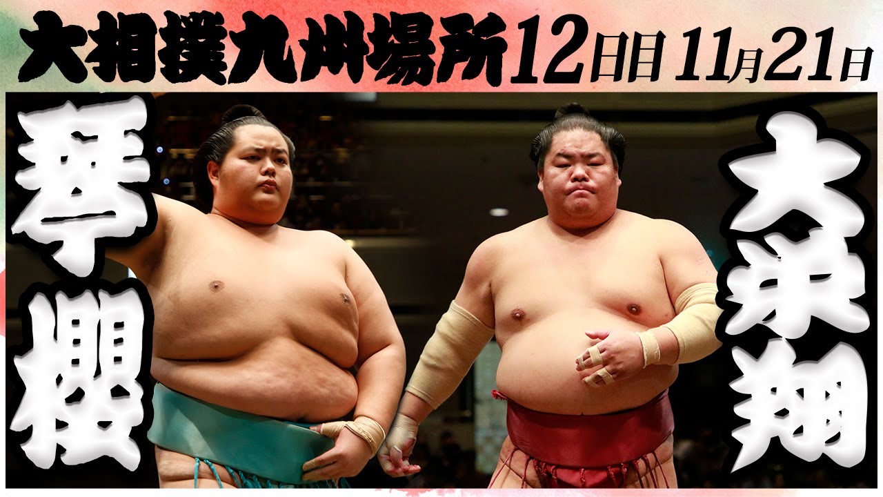 大相撲 琴櫻ー大栄翔 <令和6年九州場所・12日目>SUMO