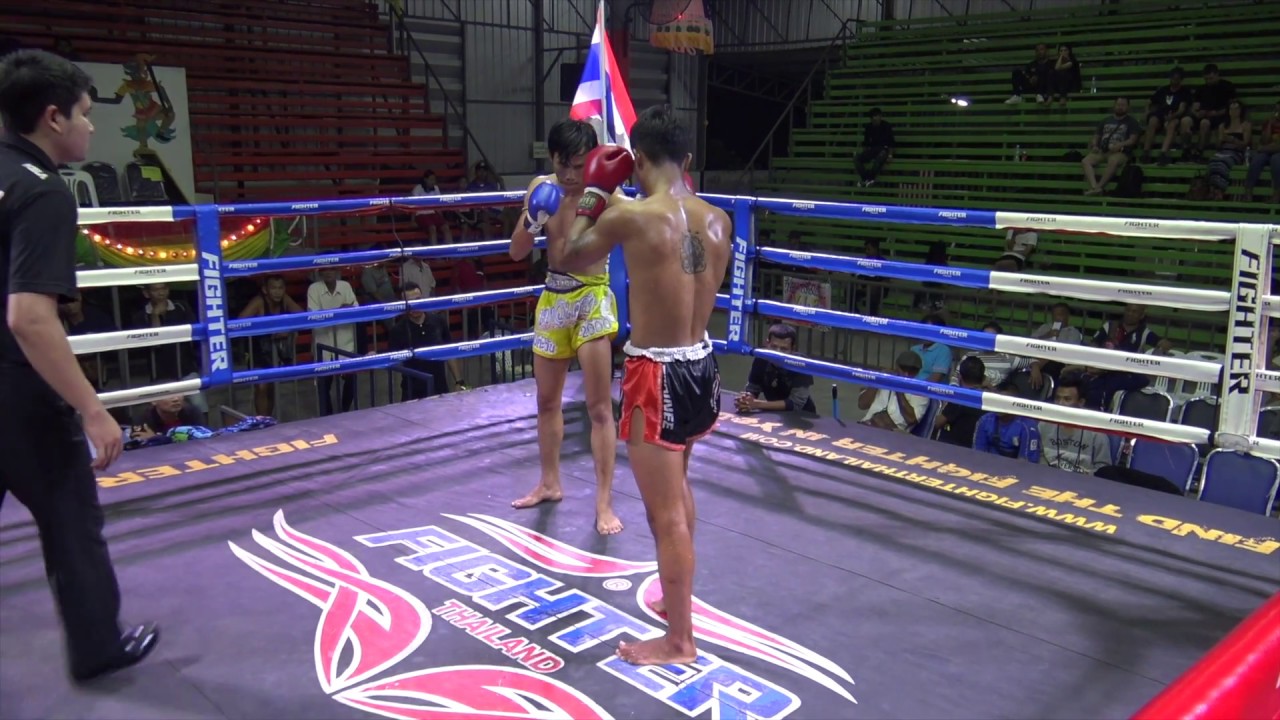 Dokmaipa TigerMuayThai vs Dtermdtem Payakrungruang background