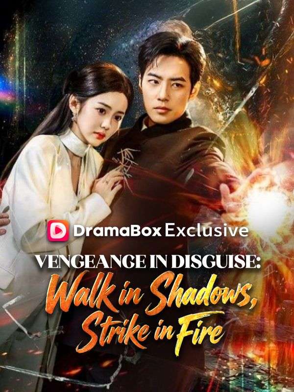 Vengeance in Disguise: Walk in Shadows, Strike in Fire poster