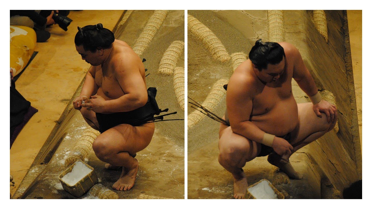 The secret to Hakuho's success: (7) The role of Harumafuji background