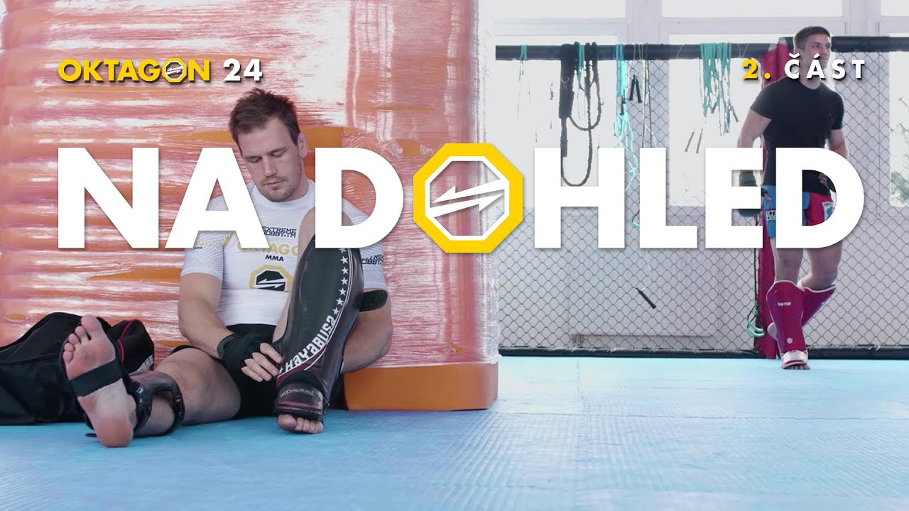 OKTAGON 24 NA DOHLED 2. část: PEŠTA, APOLLO, HOŠEK, ŠORMOVÁ background