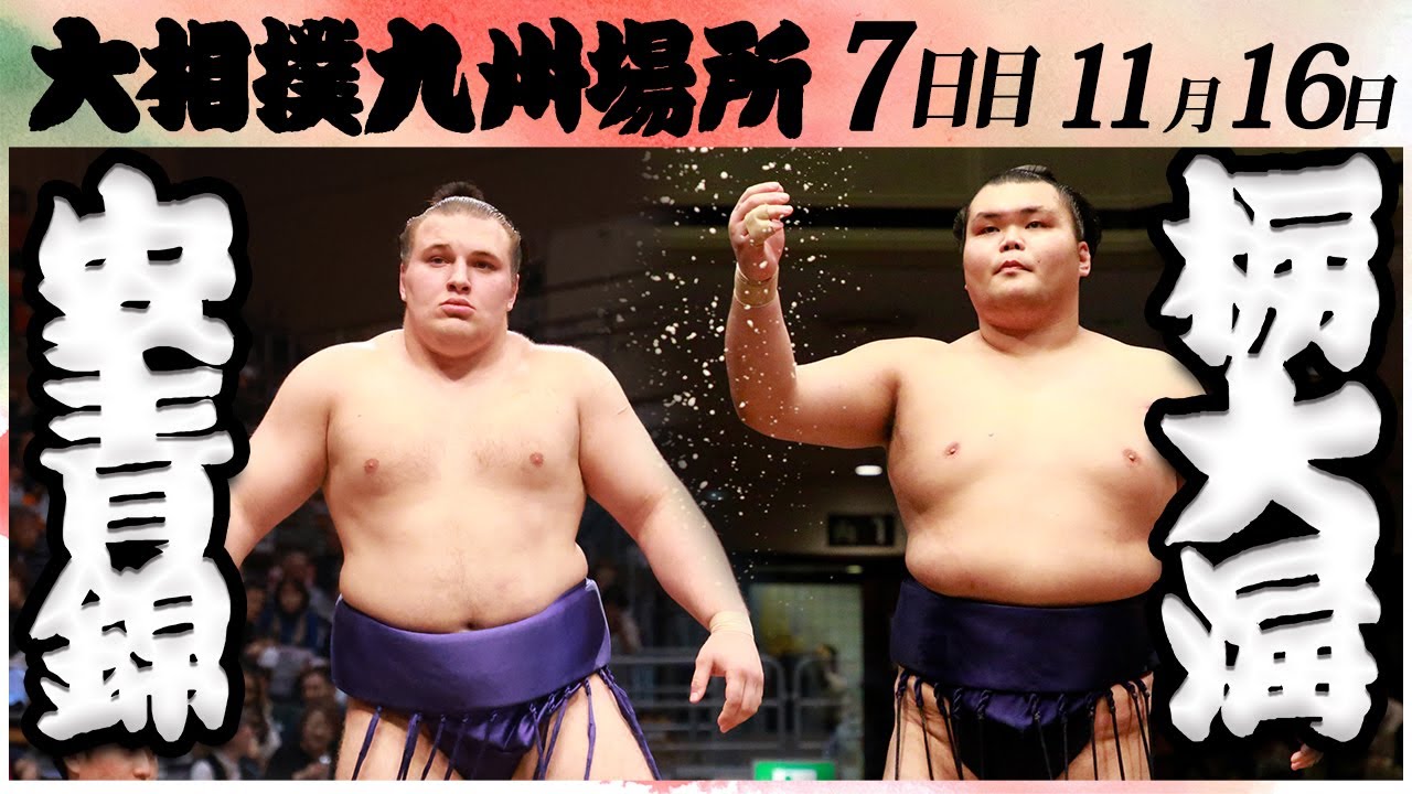大相撲 安青錦ー栃大海<令和6年九州場所・7日目>SUMO