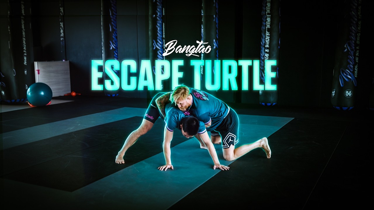 3 Ways To Get Off Bottom From Turtle