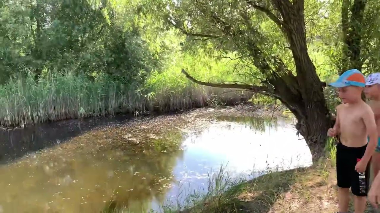 Утренняя пробежка с малышами , 20 июля 2022 г.