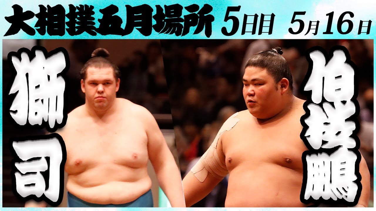 大相撲 獅司ー伯桜鵬 <令和6年五月場所・5日目>SUMO background