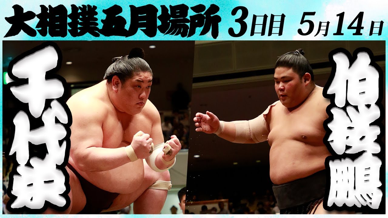 大相撲 千代栄ー伯桜鵬 <令和6年五月場所・3日目>SUMO background
