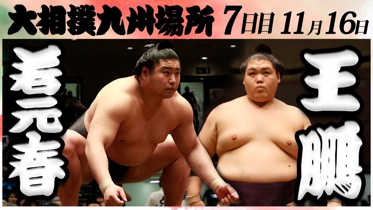 大相撲 若元春ー王鵬<令和6年九州場所・7日目>SUMO