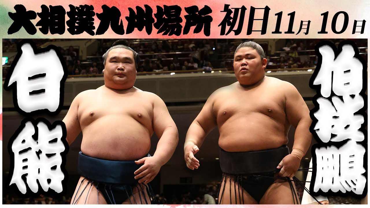 大相撲 白熊ー伯桜鵬<令和6年九州場所・初日>SUMO background