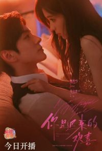 You Are My Fateful Love