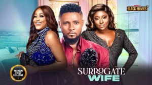 MY SURROGATE WIFE