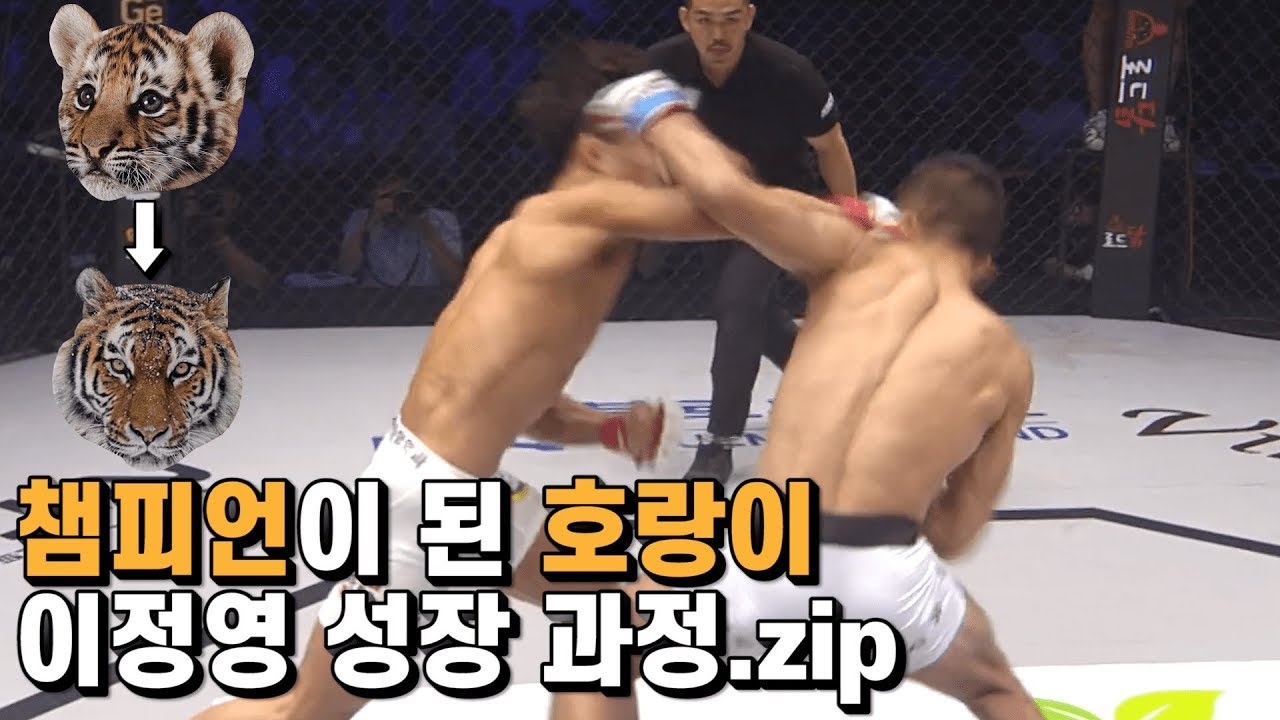 우리 호랑이는 안 짖어요... 그냥 다 찢어요...