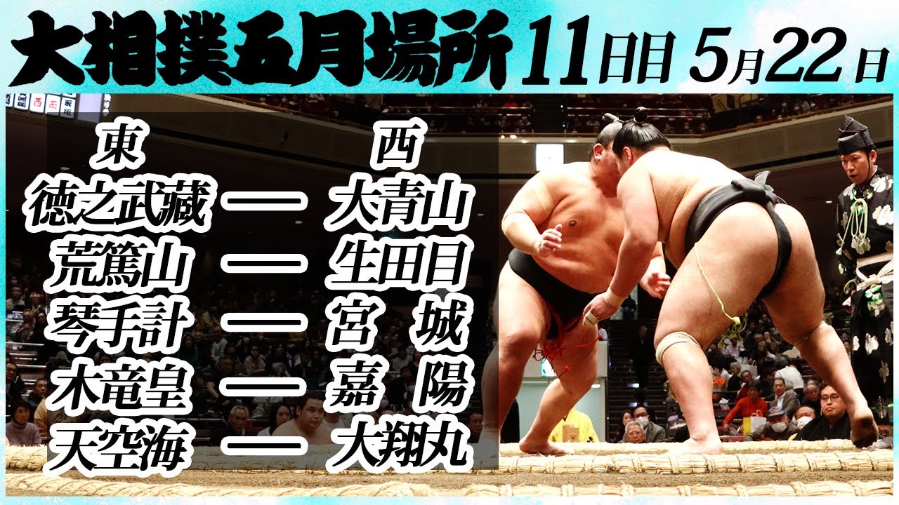 大相撲 幕下上位5番<令和6年五月場所11日目>SUMO