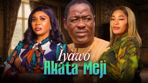 IYAWO AKATA MEJI