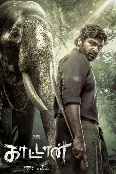 Kaattaan poster