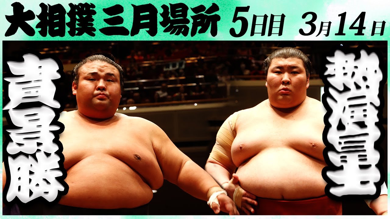 大相撲 貴景勝ー熱海富士<令和6年三月場所5日目>SUMO background