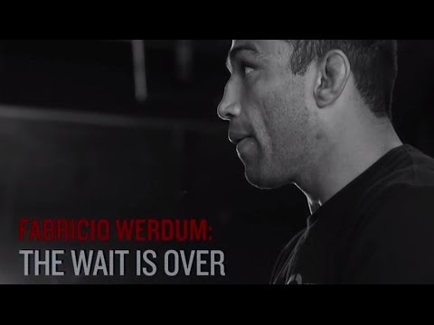 UFC 188: Fabricio Werdum - The Wait is Over