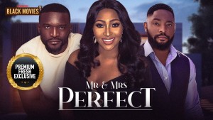 MR AND MRS PERFECT