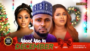 MEET ME IN DECEMBER