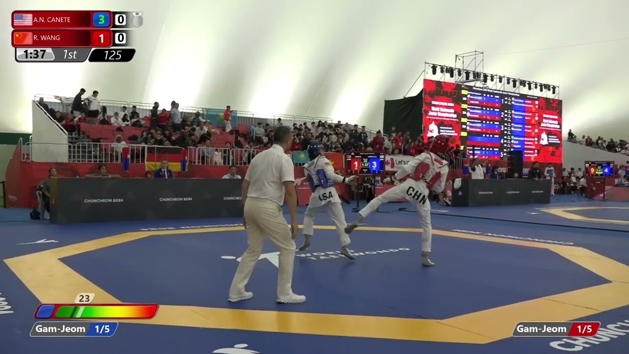 125 Round of 16 Men 51kg USA A N CANETE CHN R WANG