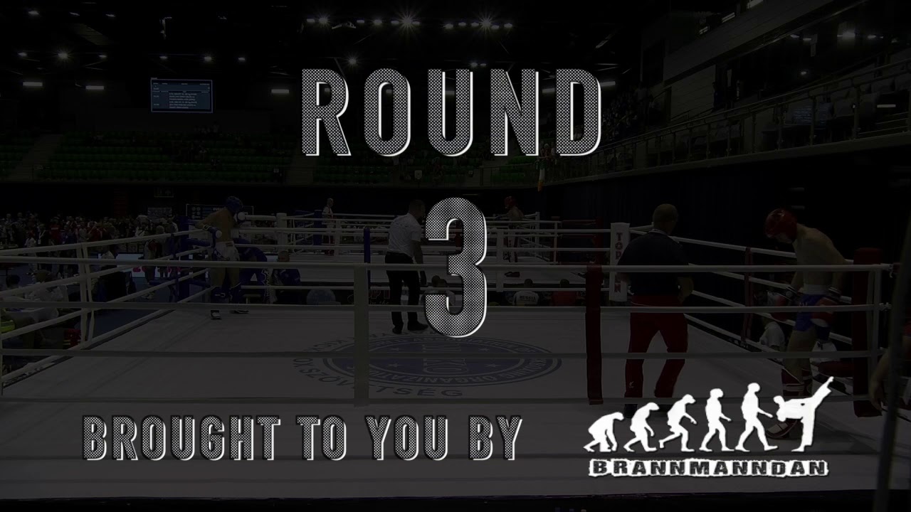 Rauf Mamedov v Almin Hodzic WAKO European Championships 2019