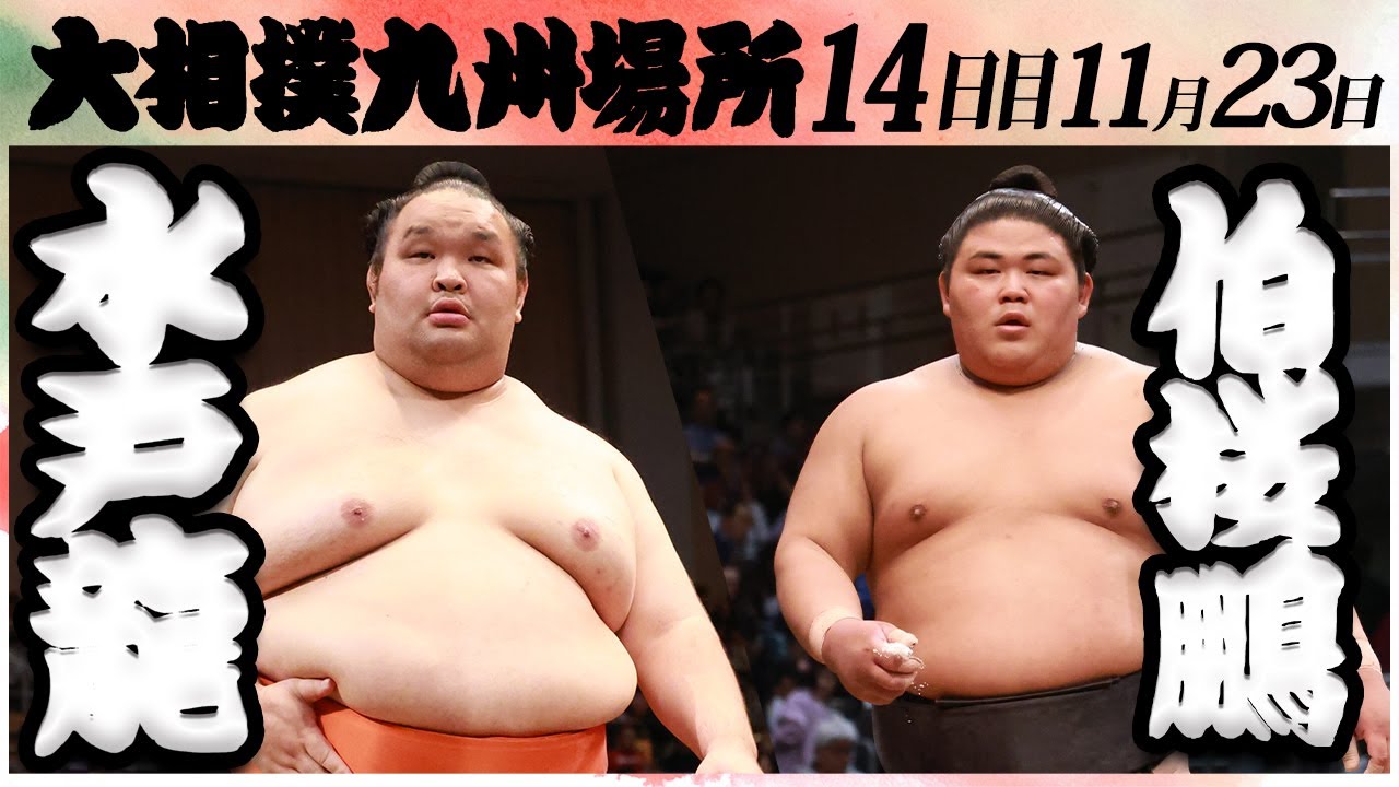 大相撲 水戸龍ー伯桜鵬<令和6年九州場所・14日目>SUMO background