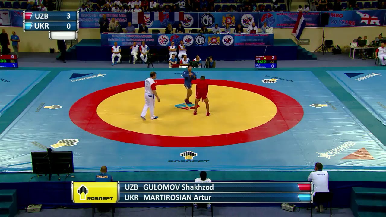 World Youth and Juniors SAMBO Championships in Tbilisi. Day 1. Mat 2 background