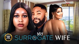 MY SURROGATE WIFE