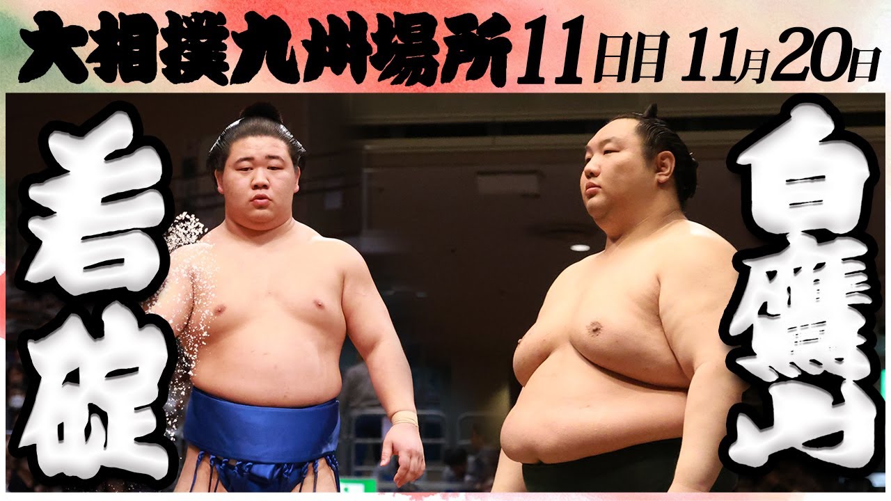 大相撲 若碇ー白鷹山<令和6年九州場所・11日目>SUMO background