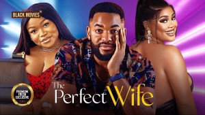 THE PERFECT WIFE