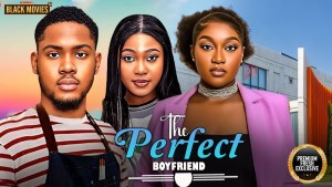 THE PERFECT BOYFRIEND