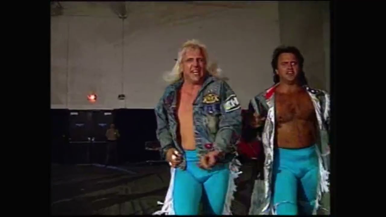 Smoky Mountain Wrestling 07 16 1994 (Full Show 1080p) background