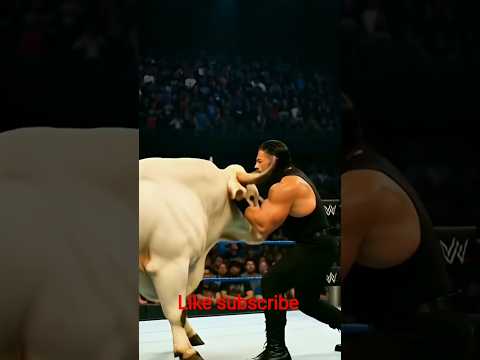 WWE wrestlers ring the big fight Roman reigns #wwe#wrestling#wwewrestlers#wweraw#wwenxt#wwefighters#