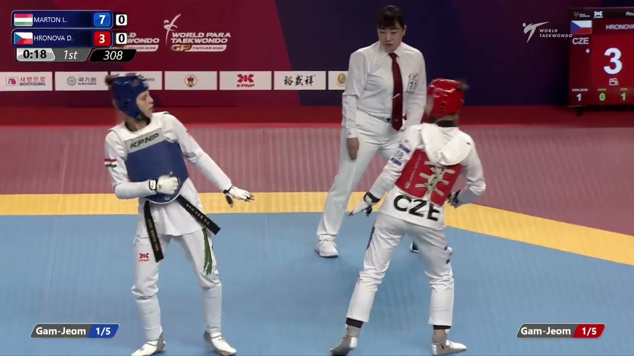 308 R32 W 57kg HUN MARTON L CZE HRONOVA D background
