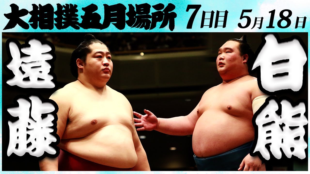 大相撲 遠藤ー白熊<令和6年五月場所7日目>SUMO