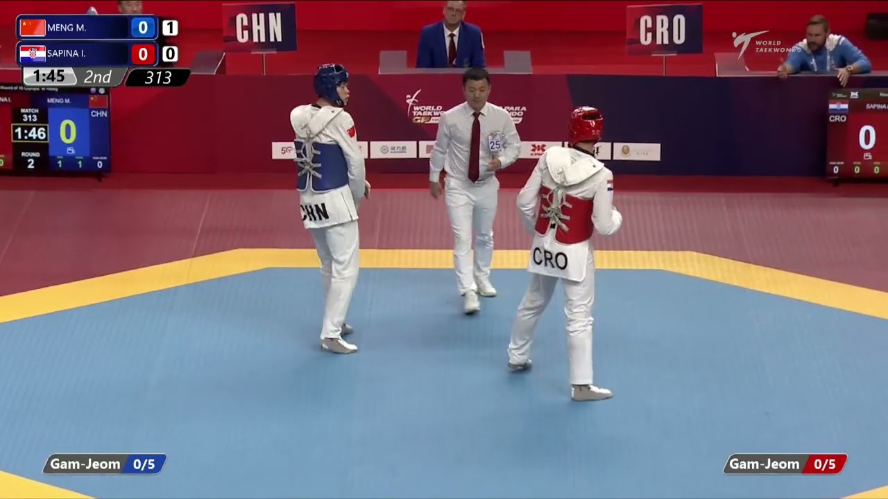 313 R16 M +80kg CHN MENG M CRO SAPINA I