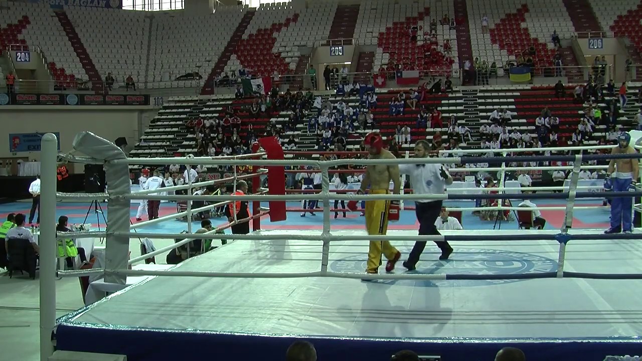 Muhammet Altybayev v Ilya Afonin WAKO World Championships 2019 background