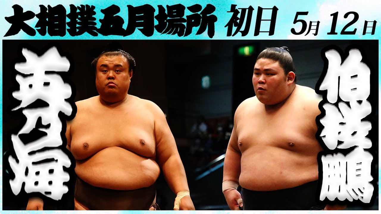 大相撲 英乃海ー伯桜鵬 <令和6年五月場所・初日>SUMO