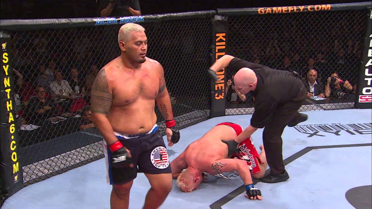 UFC 180: Heavy Hitters - Mark Hunt