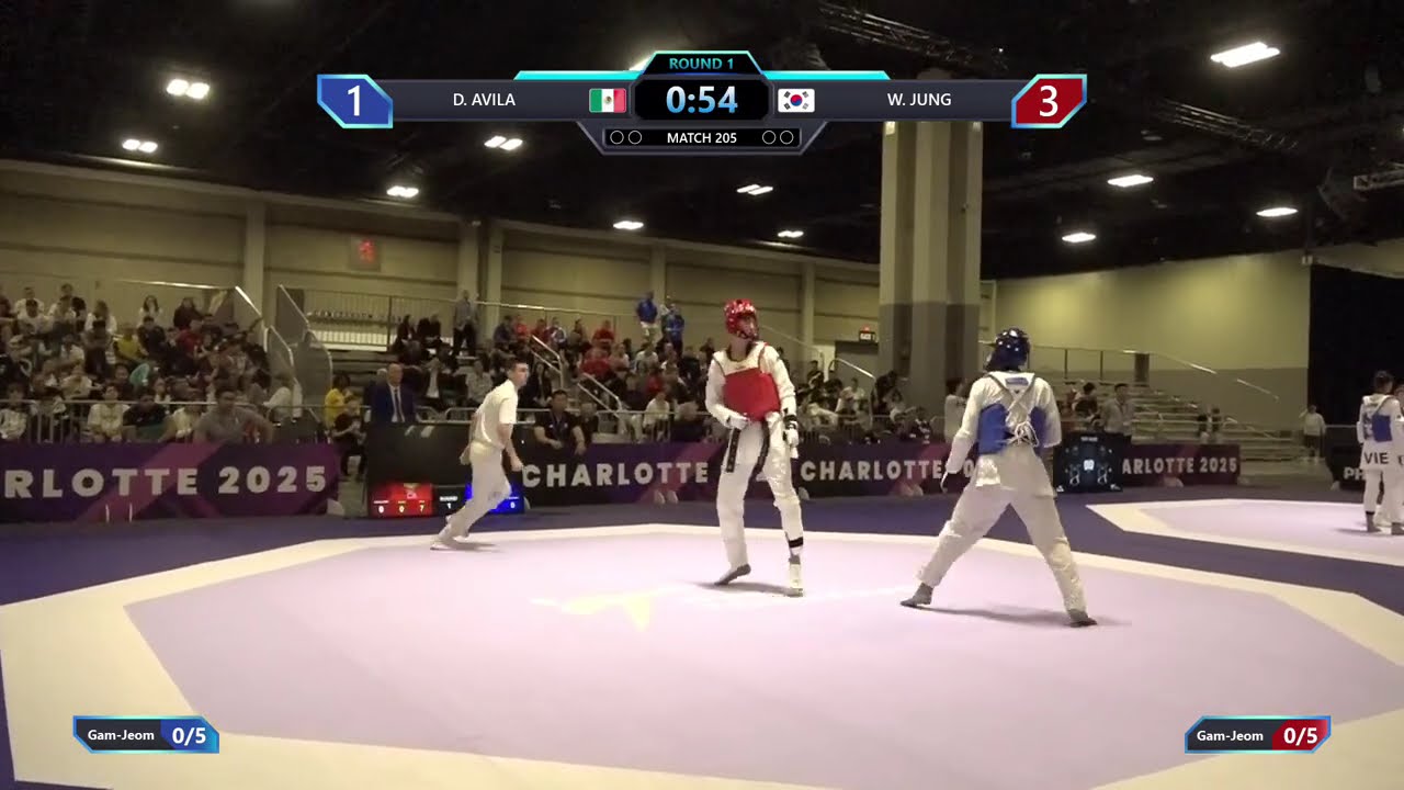 205 Round of 64 M 68kg MEX D AVILA KOR W JUNG PGM