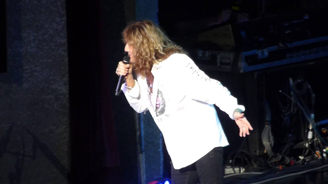 Whitesnake - Give Me All Your Love backdrop