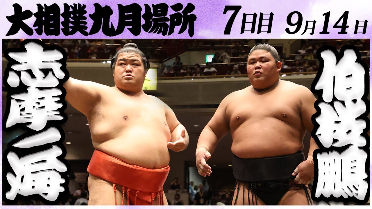 大相撲 志摩ノ海ー伯桜鵬 <令和6年九月場所・7日目>SUMO background
