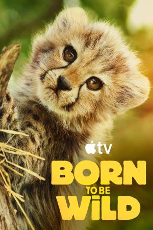 Born to Be Wild [Kurdish]