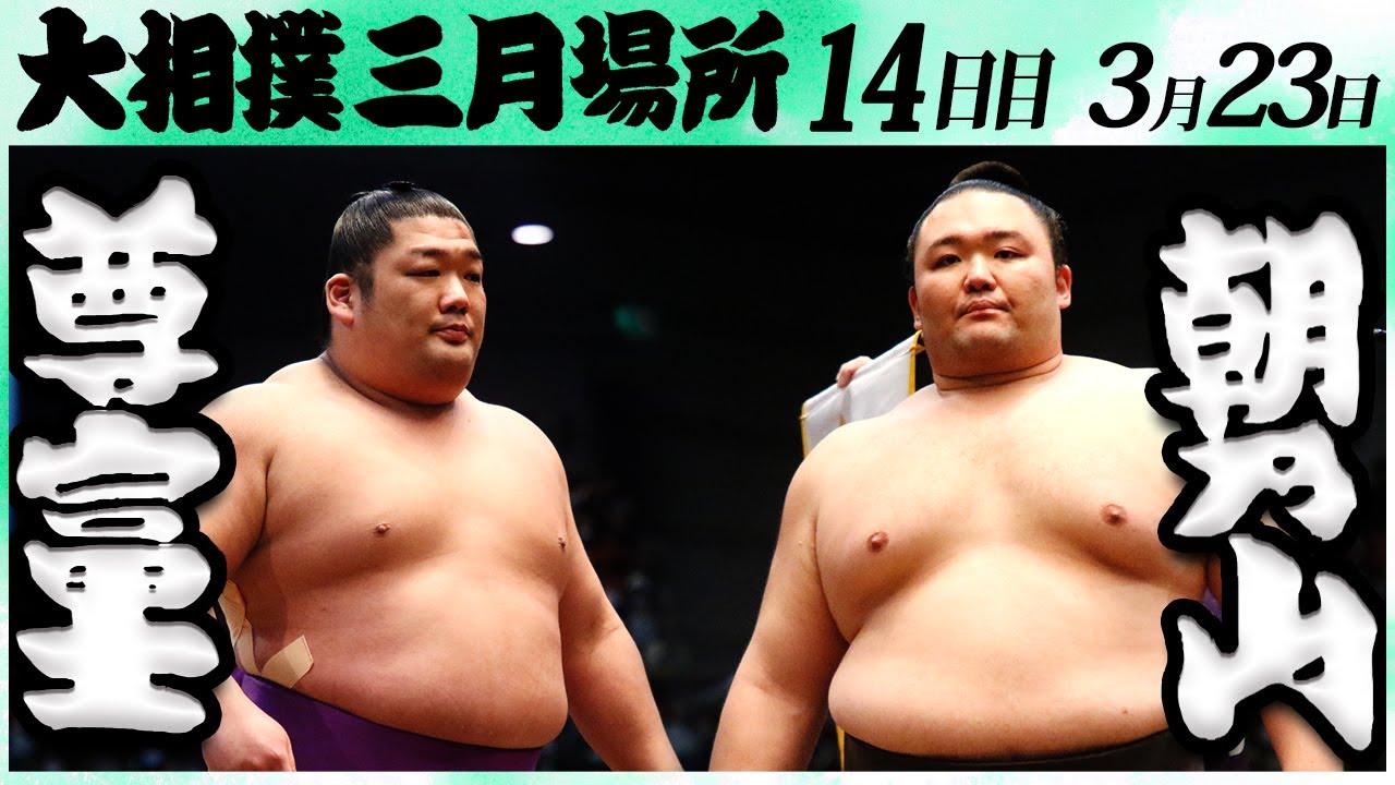 大相撲 尊富士ー朝乃山<令和6年三月場所・14日目>SUMO