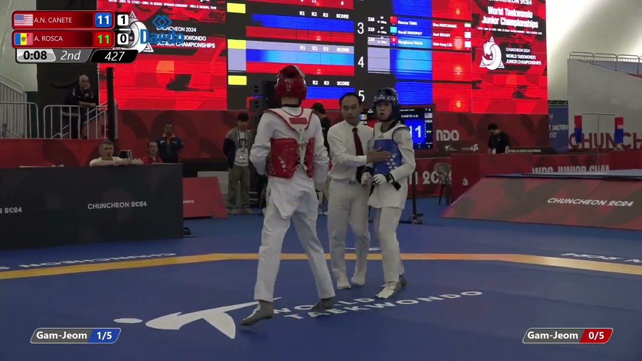 427 Quarterfinals Men 51kg USA A N CANETE MDA A ROSCA background