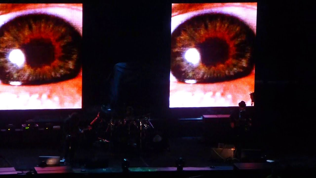Primus - Nature Boy backdrop