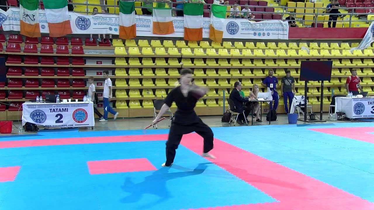 Daniil Bragin Weapons WAKO European Championships 2017 background