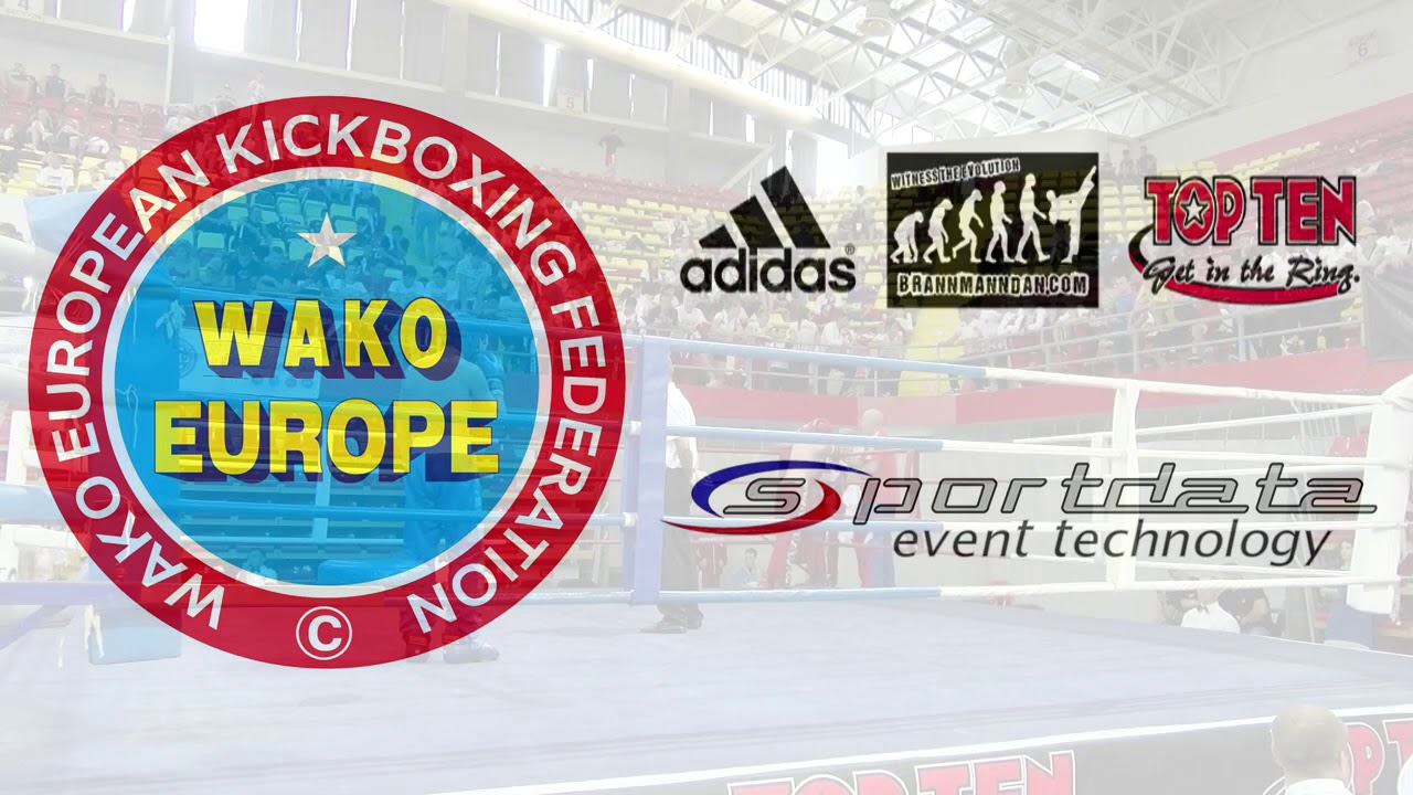 Andrei Shubin v Dmitrii Tomilin WAKO European Championships 2017 background