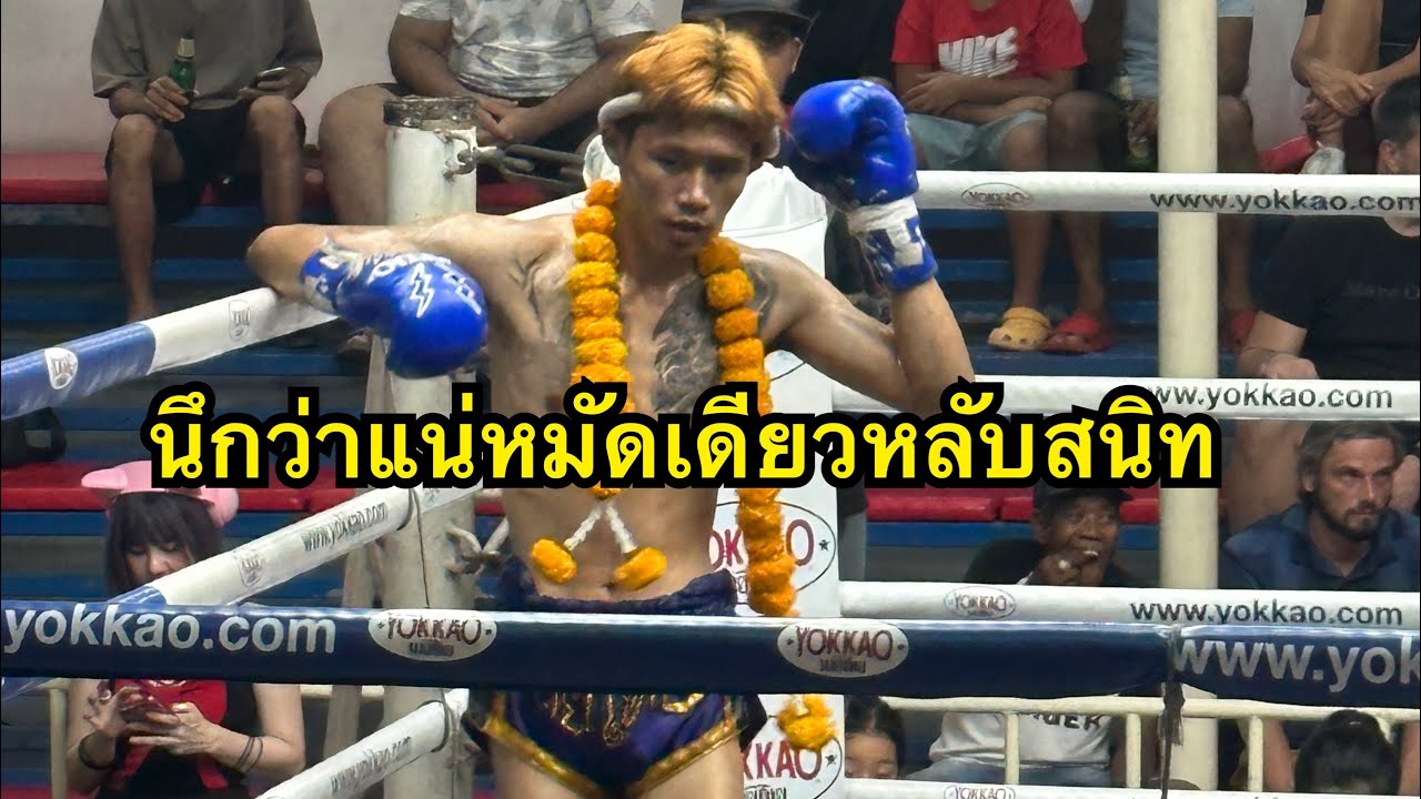 นึกว่าแน่ นักมวยไทยสุดห้าวผมทองโดนต่อยหลับยก2 น้องโดม ไททันไฟต์คลับ vs ลองแล ศ.ศักดิ์ชาย
