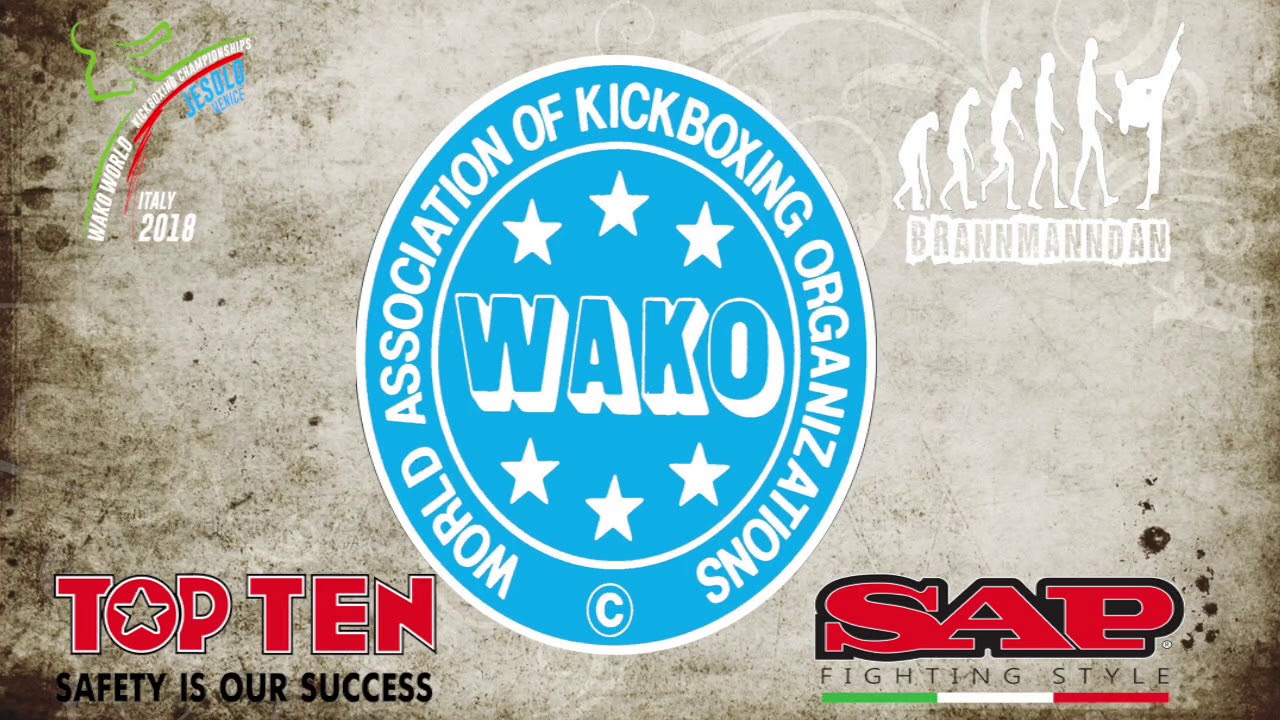 Kurt Abdulselam v Manuel Galvao WAKO World Championships 2018 background
