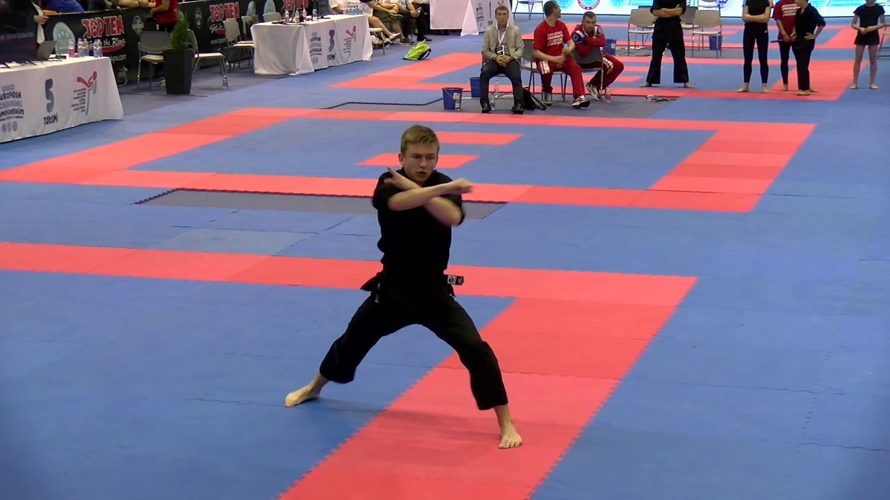 Egor Chizhov Creative Forms WAKO European Championships 2019 background